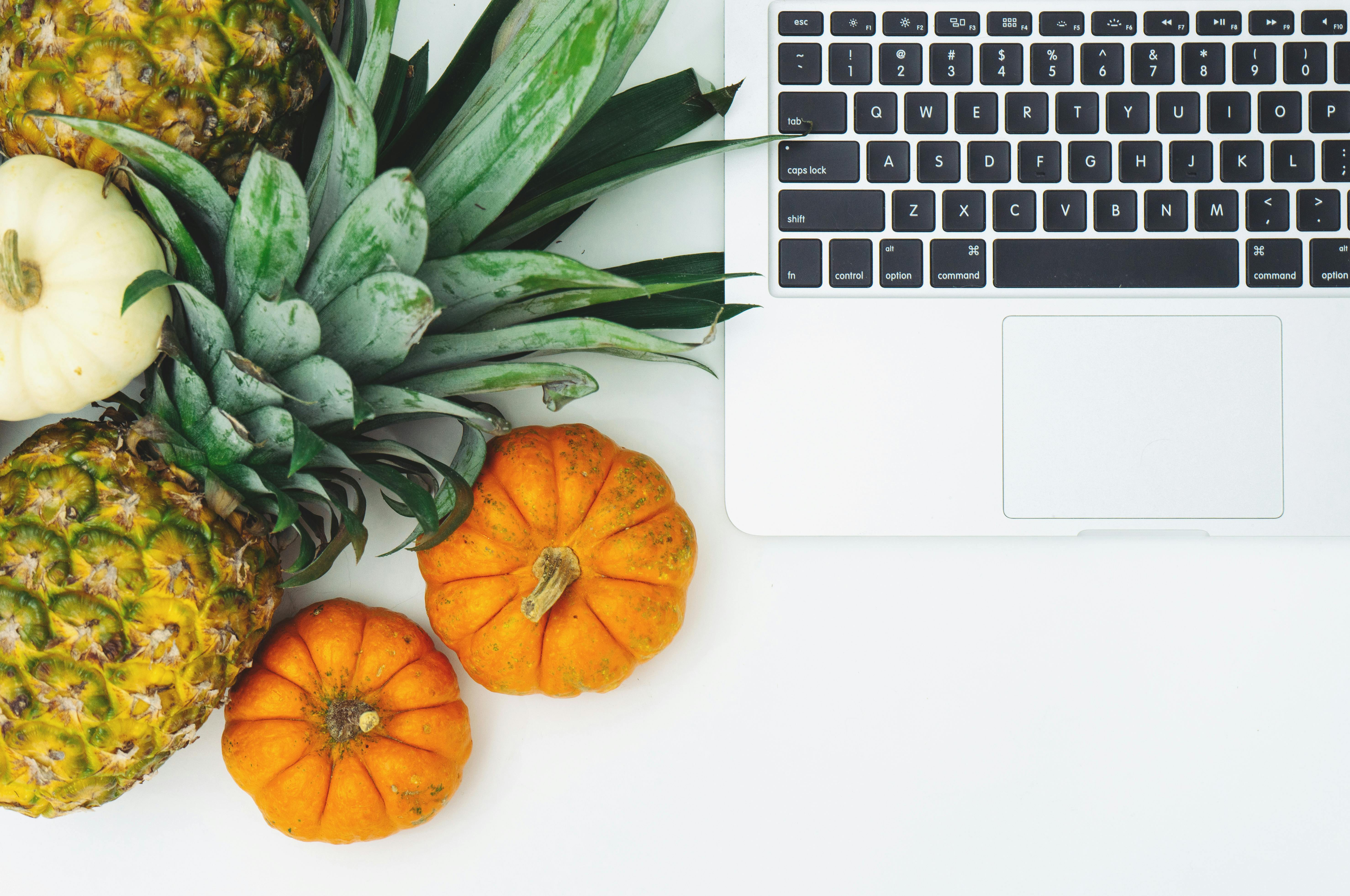 Nutrição Online